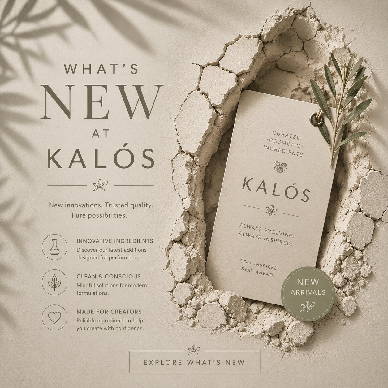 What's New at Kalós?
